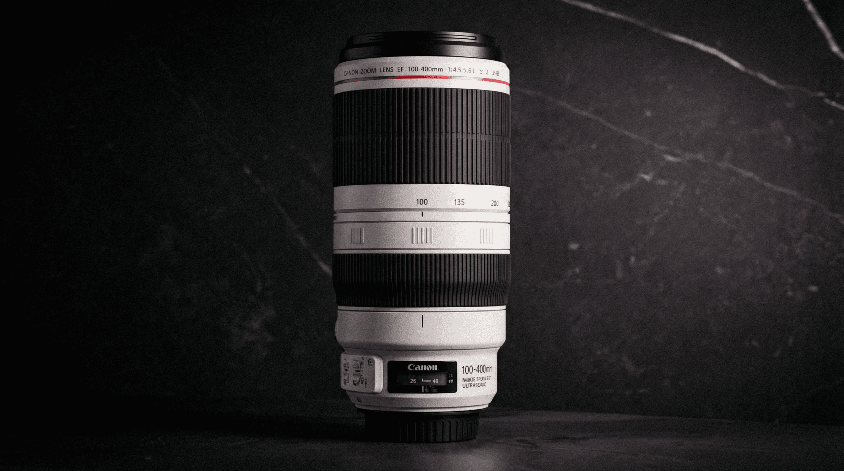 Canon 100-400mm f/4.5-5.6 L IS USM